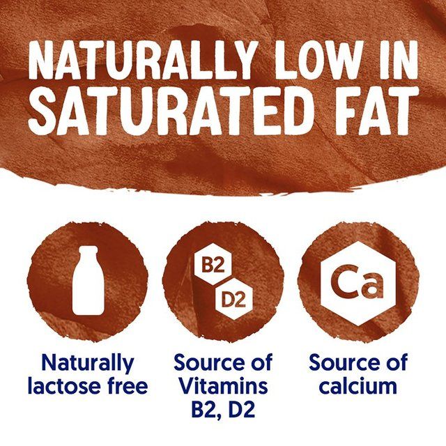 Alpro Soya Chocolate Chilled Drink   1L - McGrocer