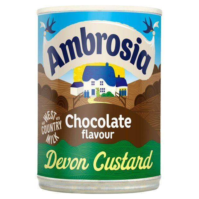 Ambrosia Chocolate Custard Can   400g - McGrocer