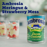 Ambrosia Devon Custard   400g - McGrocer