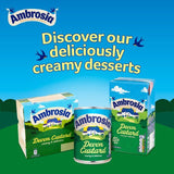 Ambrosia Devon Custard    500g - McGrocer