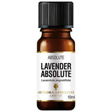 Amphora Aromatics Lavender Absolute Essential Oil 10ml - McGrocer