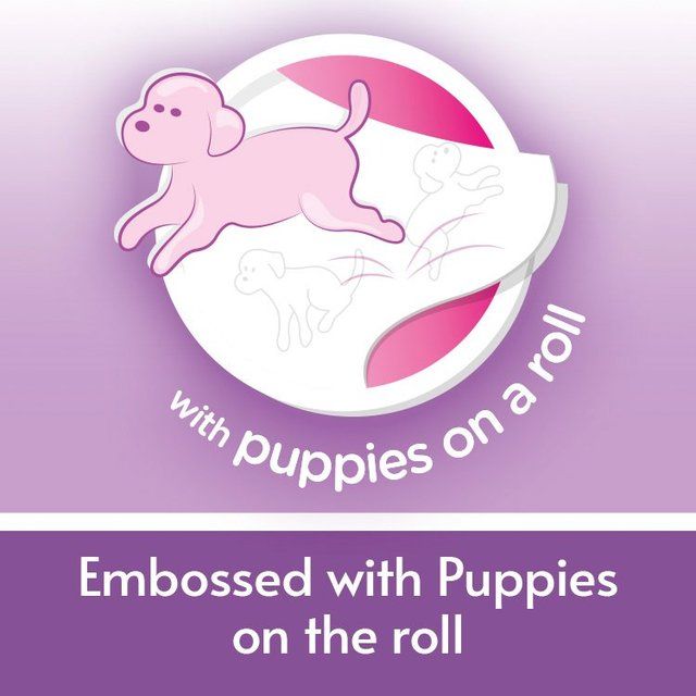 Andrex Gentle Clean Toilet Roll   9 per pack - McGrocer