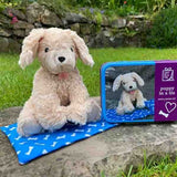 Apples To Pears Gift In A Tin Puppy - McGrocer