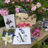 Apples To Pears Gifts For Grown Ups Flower Pressing Kit Tin - McGrocer