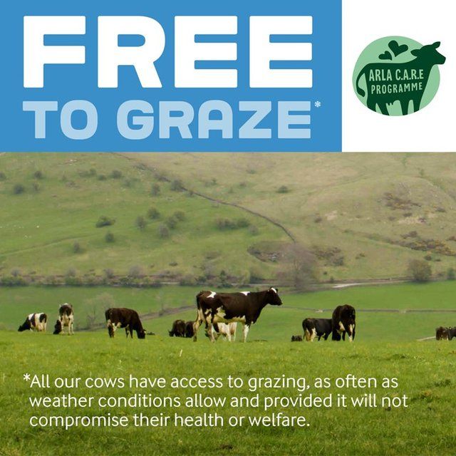 Arla Big Milk Fresh Whole Milk Vitamin Enriched for kids 1+   2L - McGrocer