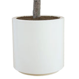 Artificial 6.5ft Olive Tree in Planter - McGrocer