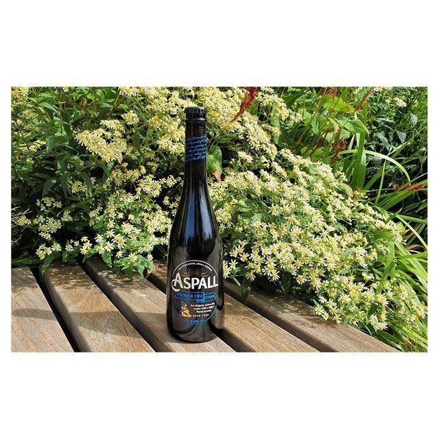 Aspall Premier Cru Cyder   6 x 500ml - McGrocer