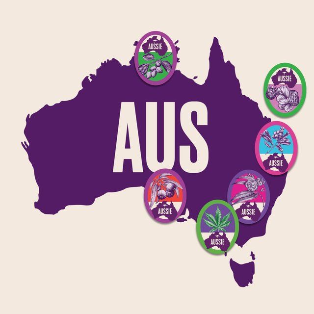 Aussie Miracle Moist Shampoo Refillable Bottle Moisturising Shampoo   430ml - McGrocer