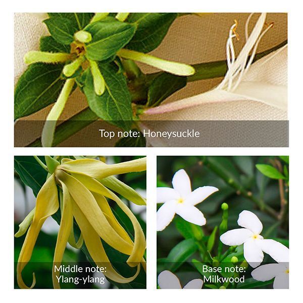 Avon Little Black Dress Eau De Parfum 50ml - McGrocer