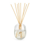 Diptyque Baies reed diffuser refill 2L - British product