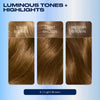 Clairol Nice'n Easy 6 Light Brown hair dye - British product