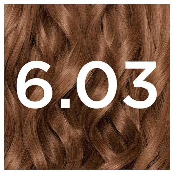 Garnier Nutrisse Creme Brown 4.13 permanent hair dye, UK version