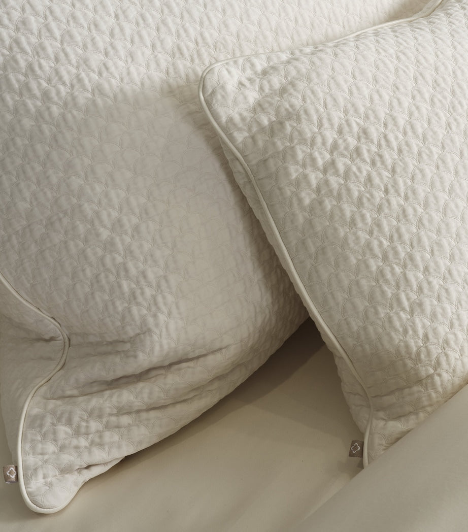 Celso De Lemos Prince boudoir pillowcase 30cm x 40cm - British product