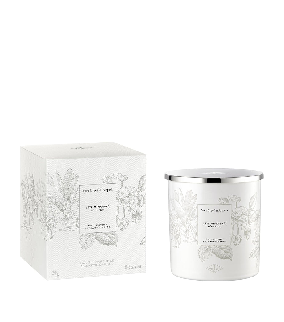 Van Cleef & Arpels winter mimosa scented candle 240g (British brand)