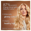 Garnier Good Permanent Hair Dye Chamomile Blonde - British product