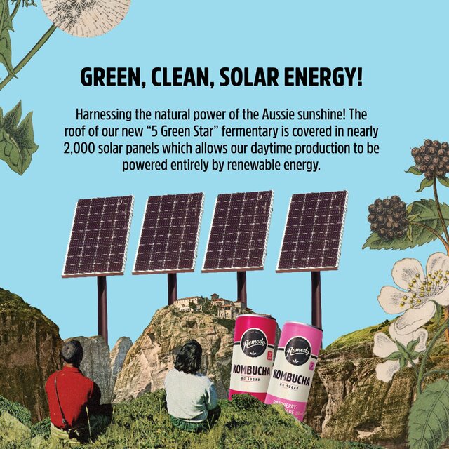 Remedy Kombucha Mango Passion Multipack   4 x 330ml - McGrocer