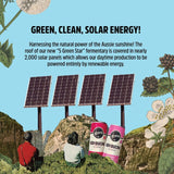 Remedy Kombucha Mango Passion Multipack   4 x 330ml - McGrocer