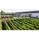 Babylonstoren Candide White Blend   75cl - McGrocer