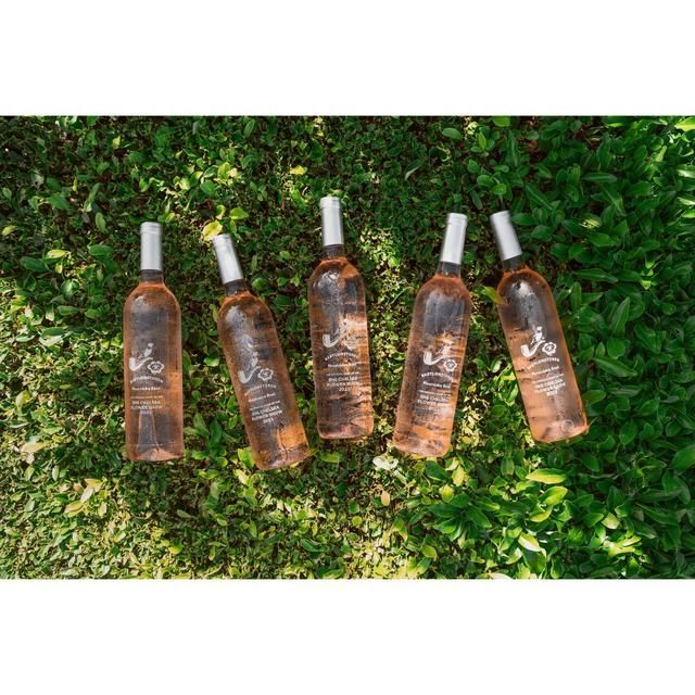 Babylonstoren Mourvedre South African Rose   75cl - McGrocer