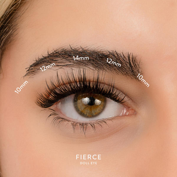 House of Amor false eyelashes Fierce Natural C Curl Medium, UK version