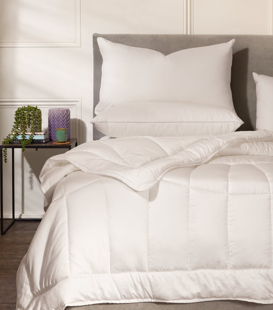 Harrods of London Kensington down-filled pillow 50cm x 75cm, UK version