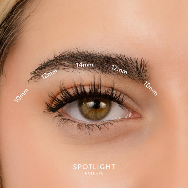 House of Amor Spotlight Length Medium false eyelashes, imported from the UK