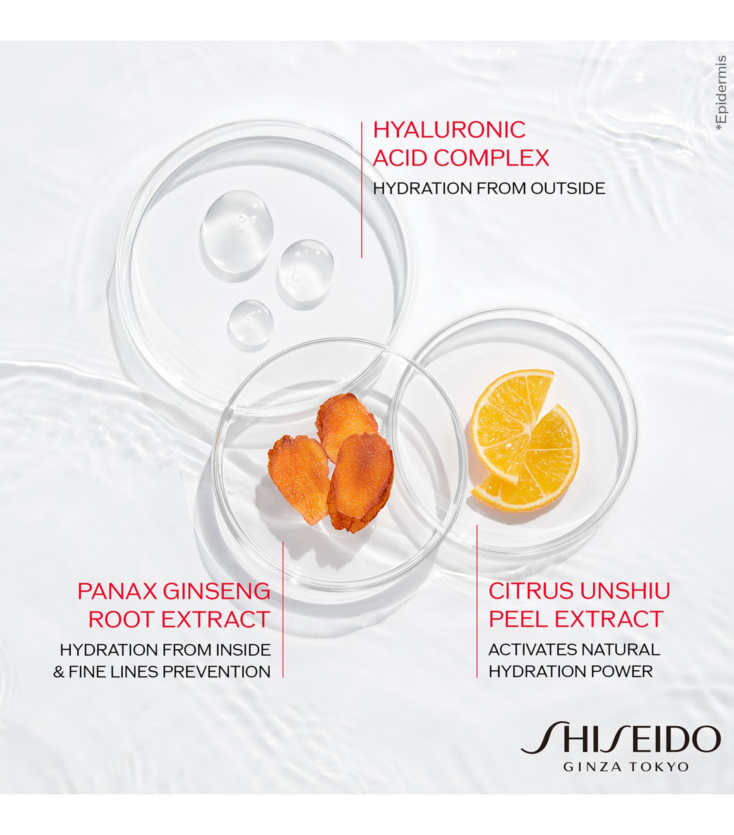 Shiseido Essential Energy Hydrating Day Cream (50ml)