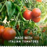 Barilla Red Pesto Pasta Sauce    190g - McGrocer