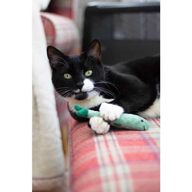 Battersea Daily Catch    3 per pack - McGrocer