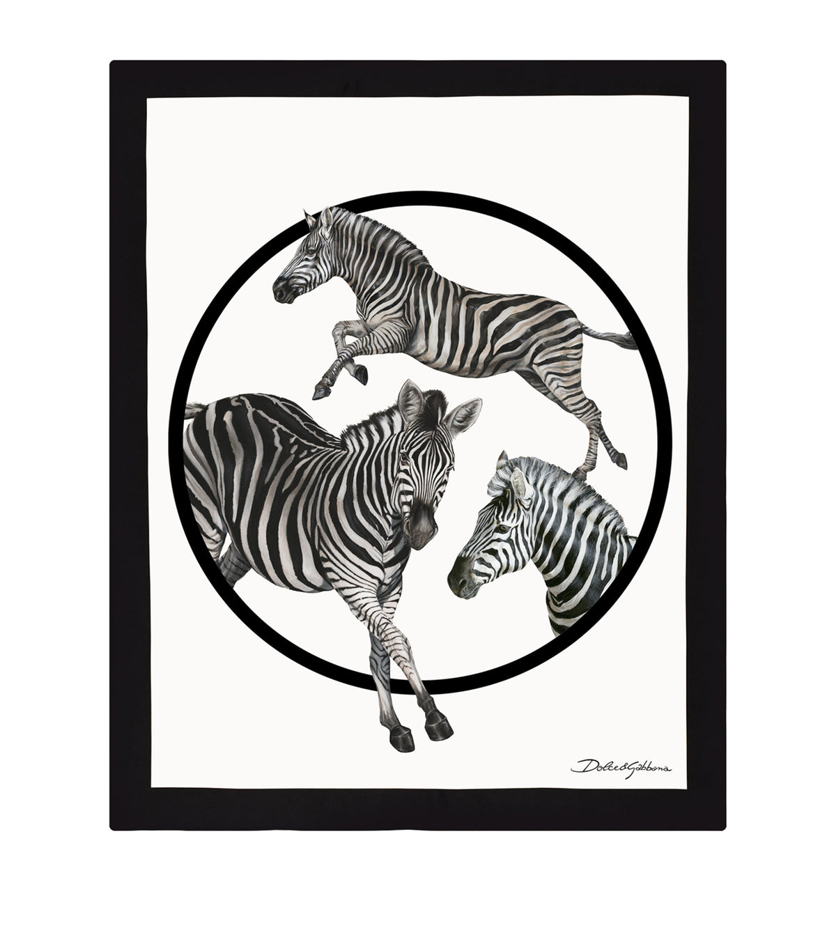 Dolce&Gabbana Casa silk-wool zebra throw 140cm x 180cm - British product