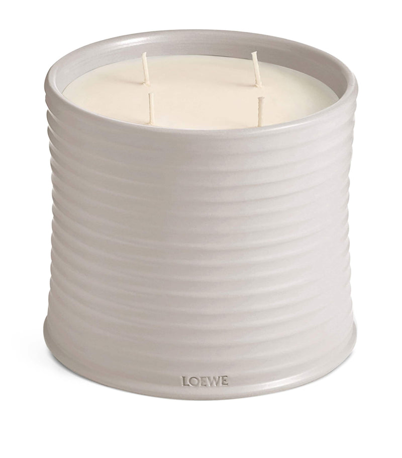 LOEWE Large Oregano scented candle, UK version