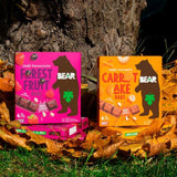 BEAR Bars Forest Fruit Multipack   4 x 27g - McGrocer
