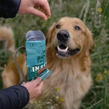 Beco Dog Treats Insect with Apple Chia Seeds & Parsley   70g - McGrocer