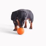 Beco Natural Rubber Fetch Ball - Orange - McGrocer
