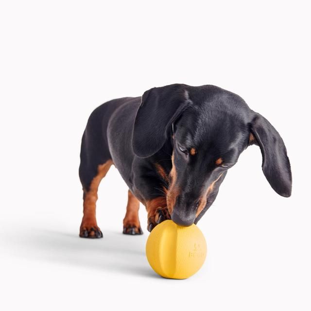Beco Natural Rubber Fetch Ball - Yellow - McGrocer