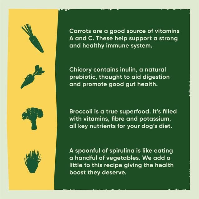 Beco Pets Eco Conscious Free Range Chicken Dry Dog Food   2kg - McGrocer