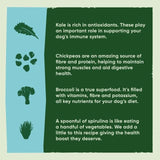 Beco Pets Eco Conscious MSC Cod & Haddock Dry Dog Food   6kg - McGrocer