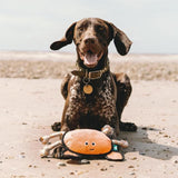 Beco Rough & Tough Recycled Dog Toy Crab - McGrocer