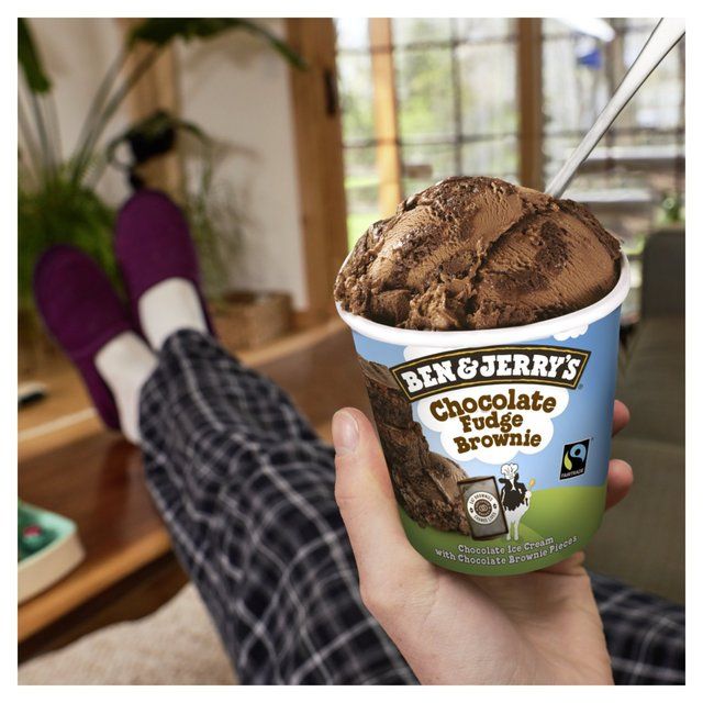 Ben & Jerry's Chocolate Fudge Brownie Ice Cream Tub   465ml - McGrocer