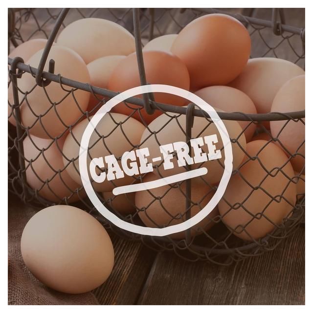 Ben & Jerry's Phish Food Chocolate & Marshmallow Ice Cream Tub   465ml - McGrocer