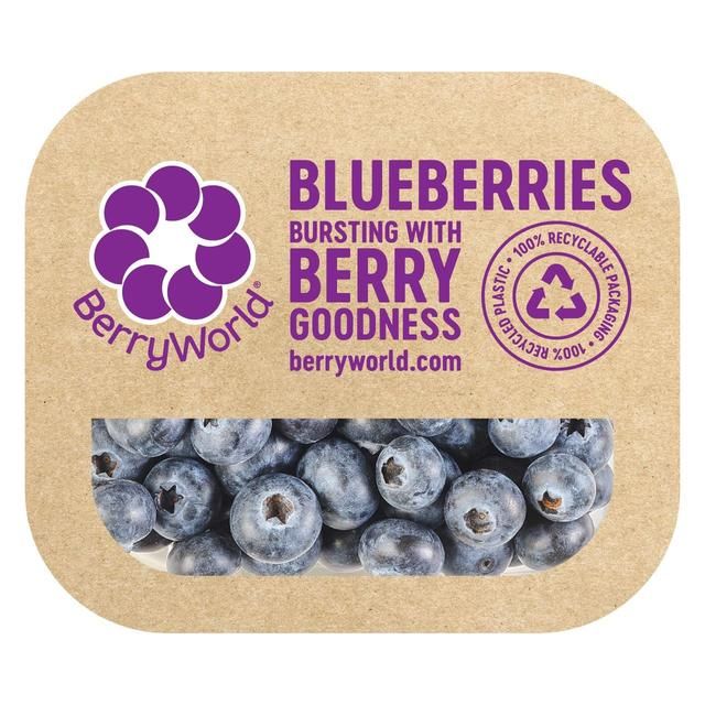 BerryWorld Blueberries   150g - McGrocer