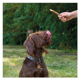 Bingham Farms Duck Wrapped Rawhide Twist Med   6 per pack - McGrocer