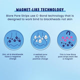 Biore Deep Cleansing Charcoal Pore Strips   6 per pack - McGrocer