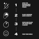 BLOCKHEAD Shine Gum - 12 Packs (84 Pieces) - McGrocer