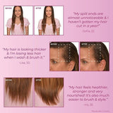 BosleyMD Hair Loss Shampoo MendXtend 1 Litre - McGrocer