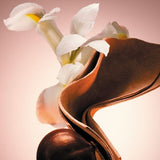 BOSS The Scent Le Parfum For Him Eau De Parfum 50ml - McGrocer