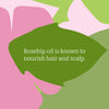 Faith In Nature Wild Rose shampoo 5L - British product