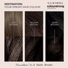 Clairol permanent hair dye dark brown 4.0 kit - British product