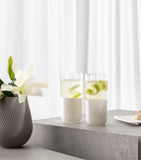 Villeroy & Boch long drink tumblers Rock Blanc 430ml (British brand)