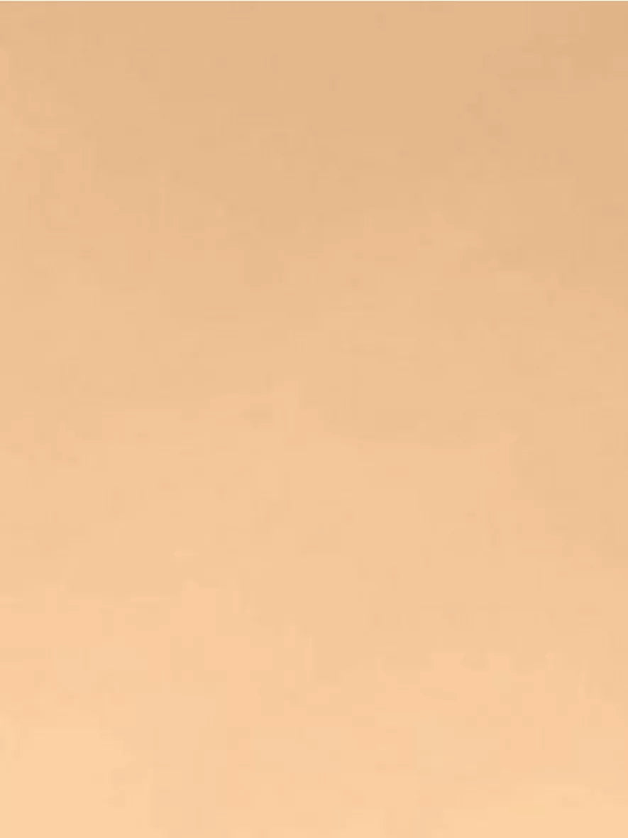 DIOR Prestige Le Micro-Fluide Teint de Rose Foundation SPF 25 - McGrocer